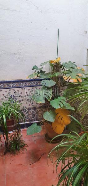 Foto a19229de-6d7a-4bb7-b548-f92964cc2d78. Piso en Centro Cáceres