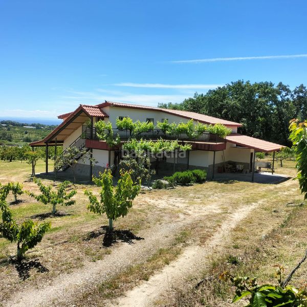 Foto ca40cdbc-e992-47bf-b756-7eb2c7432e2f. Finca rústica a Jaraíz de la Vera