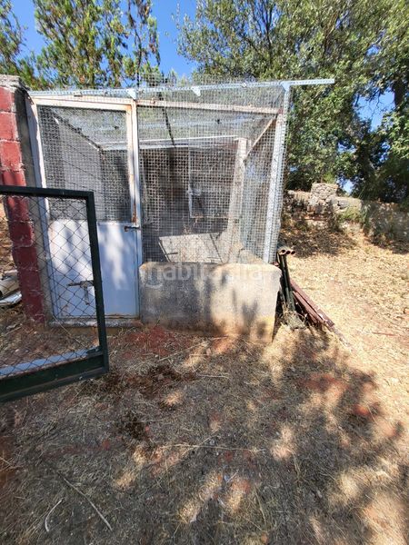 Foto d95a0a31-5061-48a6-a6ca-f3631a165cf0. Chalet  indepemdiente con parcela de 5.000 m2 en Cáceres