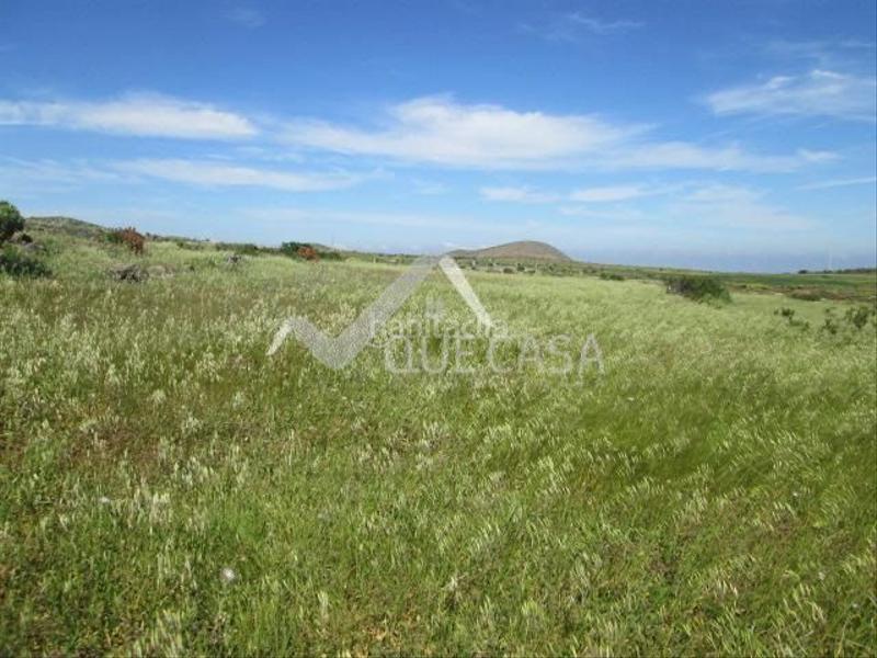 Foto bf2a6029-c44f-4e2e-8a36-0a2ae0973522. Finca rústica vt5207. terreno rústico en la pasadilla. en Ingenio