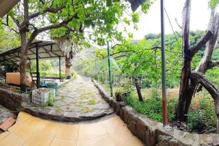 Masia a El Álamo - Arbejales. Vt6151. casa de campo con terreno en teror.