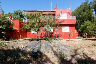 Finca rústica a Vega de San Mateo. Vt6211. trozo de terreno con vivienda en san mateo.