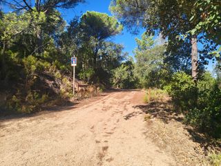 Rural plot  N/a. Terreno forestal en el veïnat de sant llorenç – llagostera