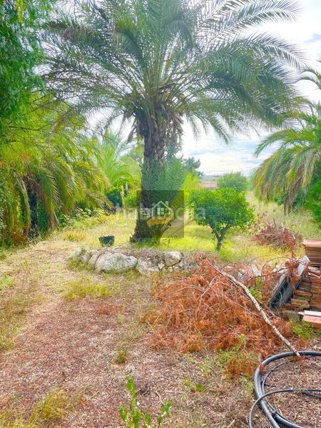 Foto 25dcdc1e-6e64-4c1a-8b37-3e79d2192821. Chalet  en venta , 4 dormitorios. en Ribera de Molina - Torrealta Molina de Segura