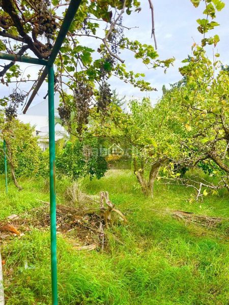 Foto 498dca7d-8ff2-4f6d-b3eb-05e8c02fdfe4. Chalet  en venta , 4 dormitorios. en Ribera de Molina - Torrealta Molina de Segura