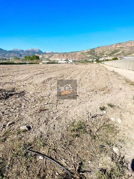 Foto 84e64a6a-bd53-421a-b760-0dda8be0e2ac. Fondo rustico in Alhama de Murcia ciudad Alhama de Murcia