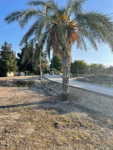 Foto 0891a04d-d251-4d61-bc95-736186e52b53. Terreny residencial a Torres de Cotillas (Las)