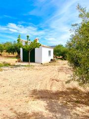 Terreny residencial a Vélez - Rubio. Terreno rústico en venta en vélezrubio.