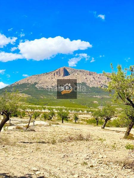 Foto 45a6cb6b-fe32-49c1-a0d7-16117fb6113a. Masía casa rural en venta , 8 dormitorios. en Chirivel