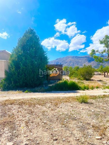 Foto bd218ee4-834c-4443-8937-2c3fee186100. Masía casa rural en venta , 8 dormitorios. en Chirivel