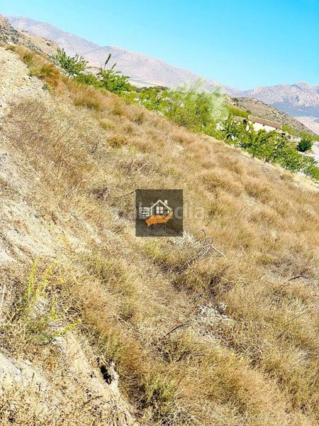 Foto b1c19d66-e3a6-44a5-9793-9f88b2780b70. Masia a Chirivel