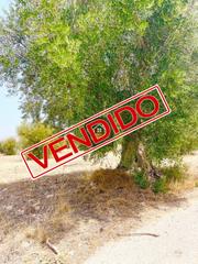 Terreny residencial a Vélez - Rubio. Terreno en venta en vélezrubio.