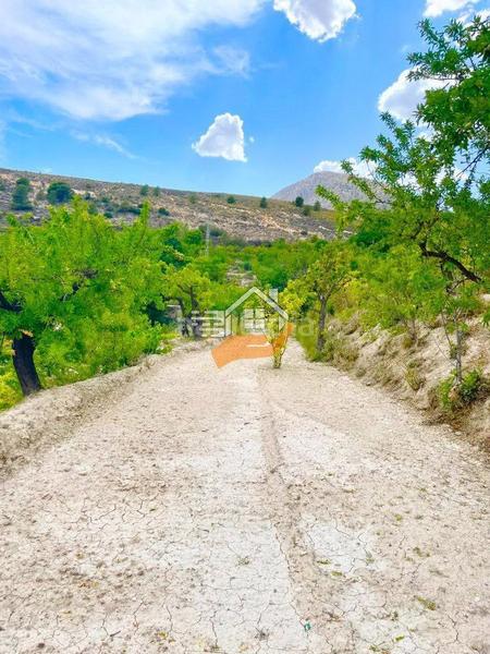 Foto 0013e6df-0ddc-48f2-ab24-a2cf82b1f4f5. Landgut in Vélez - Blanco