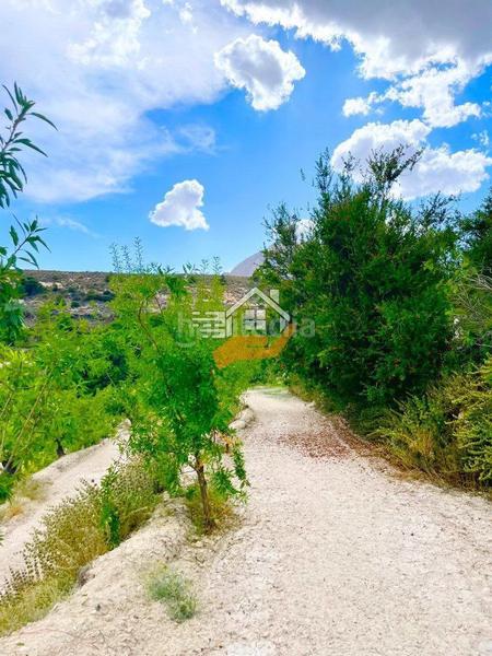 Foto 1dd4bf13-296e-4f2b-956f-d7527a3e2fe6. Landgut in Vélez - Blanco