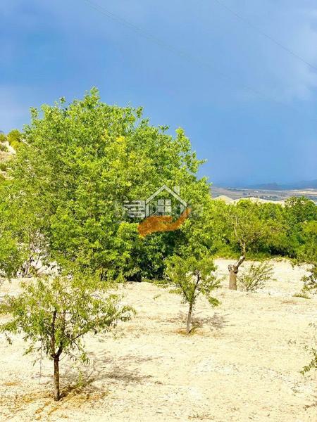 Foto 21a77fd8-0f8a-4e0e-bef7-dc1014ddcfd8. Landgut in Vélez - Blanco