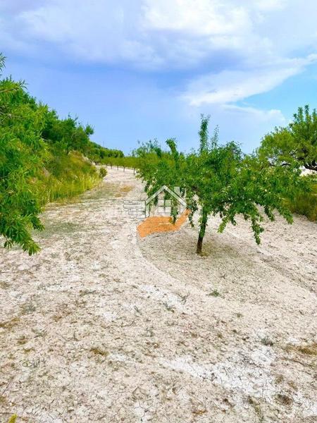 Foto 37e82fb9-b5c9-4320-a65c-311d717e1a15. Landgut in Vélez - Blanco