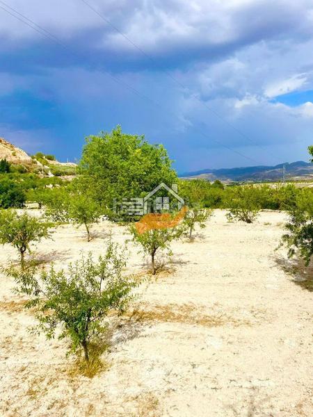 Foto 39df33b3-dc5e-4af8-9842-15cf066ca9e5. Landgut in Vélez - Blanco