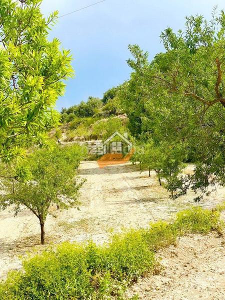 Foto 49118293-eb9a-46fe-aafc-593cd5e57550. Landgut in Vélez - Blanco