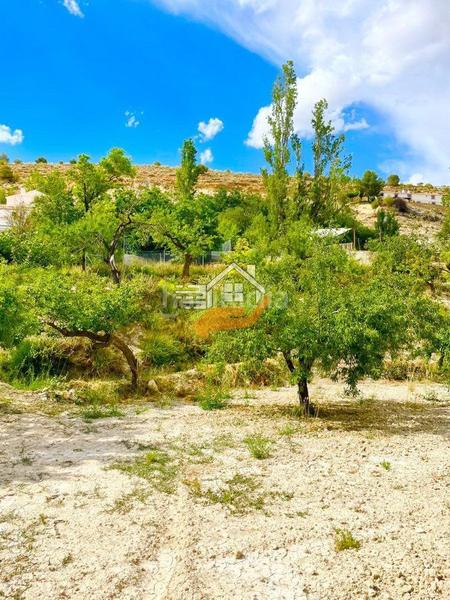 Foto 681bfad2-b86e-42b7-864f-c1248e081032. Landgut in Vélez - Blanco