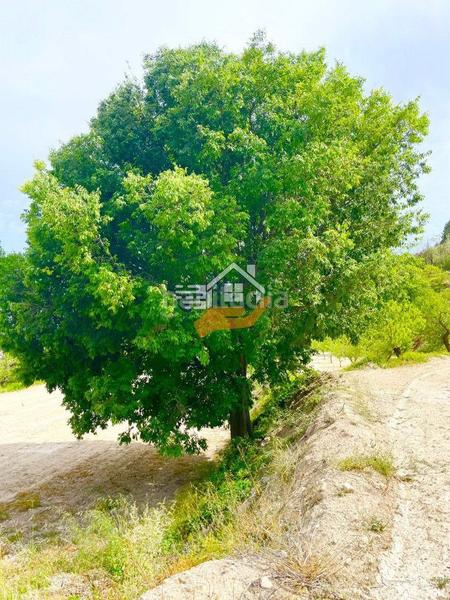 Foto 8fc57692-eefb-4eca-be2b-72e4e136ae9d. Landgut in Vélez - Blanco