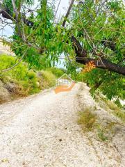 Finca rústica a Vélez - Blanco. Terreno en venta en vélez-blanco.