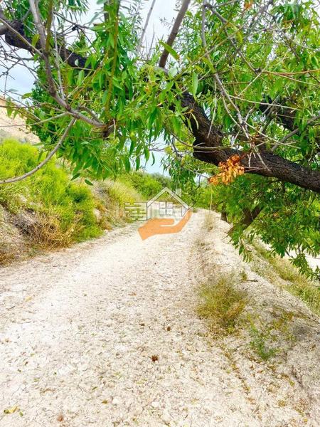 Foto 9fd49932-7365-45e0-96dd-5c382b61578f. Landgut in Vélez - Blanco