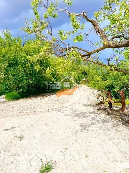 Foto 3e5440a6-b5fd-440e-a9c1-d9796e9ccd8a. Landgut in Vélez - Blanco