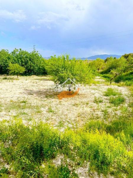 Foto 880d6a2c-9754-428a-b85c-f8ed3e02b8c2. Landgut in Vélez - Blanco