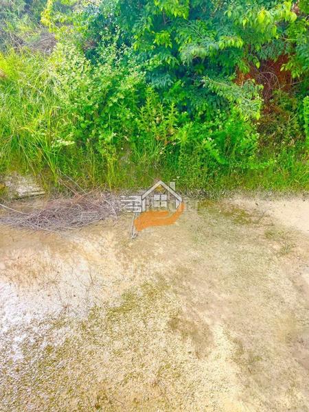 Foto e8919450-eea1-46a7-a913-9945d12fcb88. Landgut in Vélez - Blanco