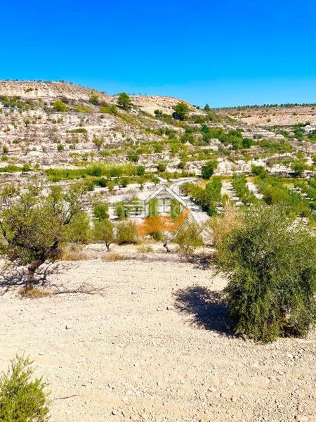 Foto 9dfec458-6bc6-49c4-8e8f-8be7b94299b3. Terreny residencial a Vélez - Blanco