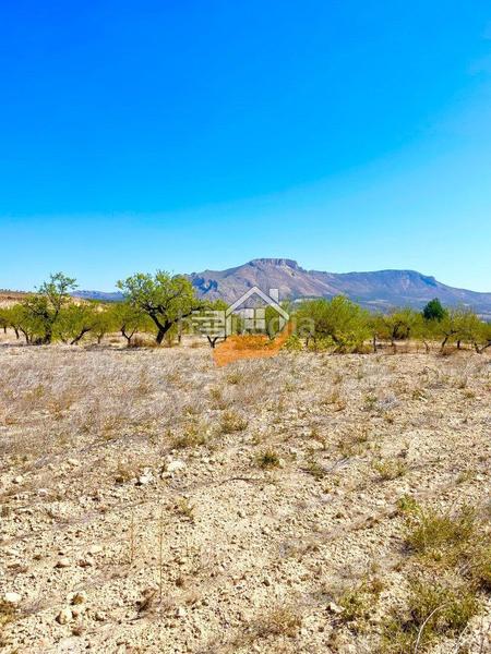 Foto a87e2199-a733-45a4-8990-6ae82b760b24. Terreny residencial a Vélez - Blanco