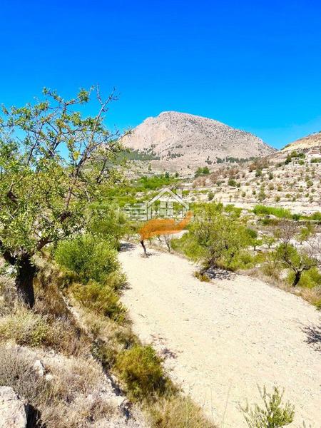 Foto a8bc2de5-d268-4045-ac6c-e02382103a53. Terreny residencial a Vélez - Blanco