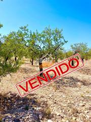 Terreny residencial a Vélez - Blanco. Terreno rústico en venta en vélezblanco.