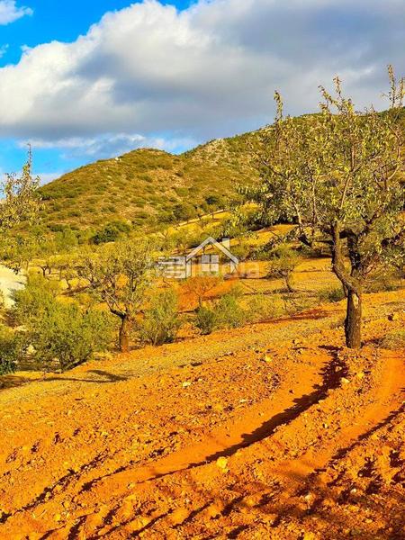 Foto 0e018330-79a7-4aa7-bc2b-abca97f5db39. Terreny residencial a Vélez - Rubio