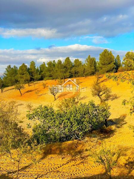 Foto 14580678-5a7d-4e55-a723-9194d0f11c3b. Terreny residencial a Vélez - Rubio