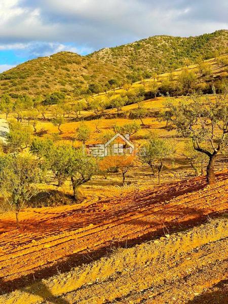 Foto 2eb88bc7-a0c6-45ad-a616-0b0981d024a6. Terreny residencial a Vélez - Rubio