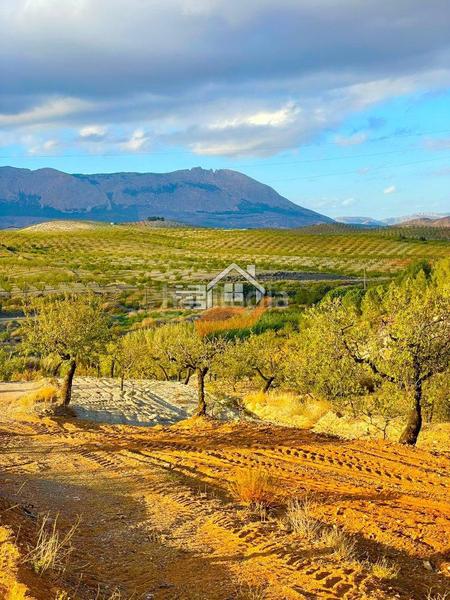 Foto 7e426715-3843-47e2-8cc9-8f7b6e50e0db. Terreny residencial a Vélez - Rubio