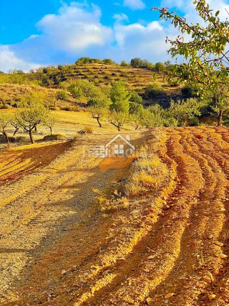 Foto f5ad5ebe-46ee-4e68-af5d-d7ad7890f269. Terreny residencial a Vélez - Rubio