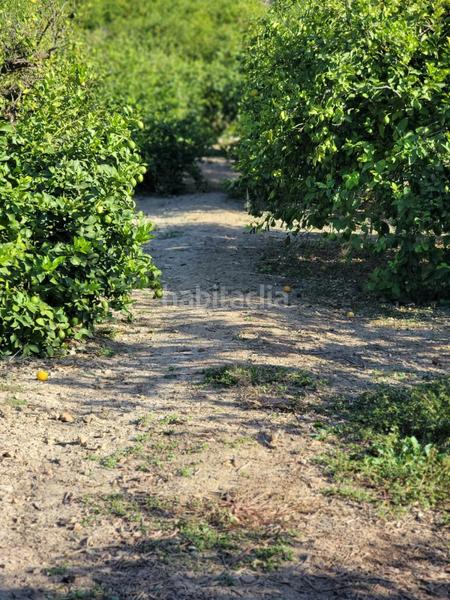 Foto 3e79af2c-0f57-4c0b-9430-e73cb6e02653. Terreno residencial terreno urbano en venta en Monteagudo. en Murcia