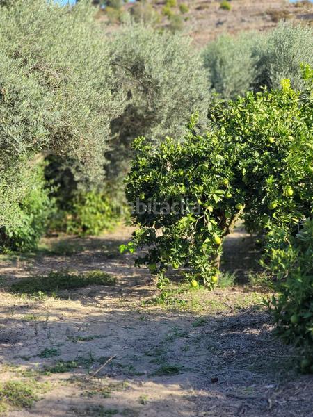 Foto 56ab0f83-ff2e-42b6-812b-028d1b21b6f7. Terreno residencial terreno urbano en venta en Monteagudo. en Murcia