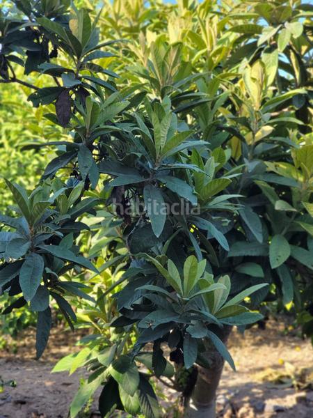 Foto 9b2735ab-823a-4614-a89e-a395131e1678. Terreno residencial terreno urbano en venta en Monteagudo. en Murcia