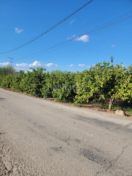 Foto cd324bf2-b60c-46b8-84d8-1e27729bda1d. Terreno residencial terreno urbano en venta en Monteagudo. en Murcia