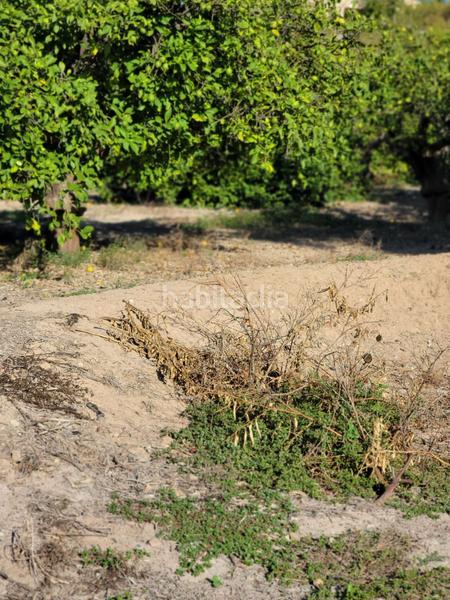 Foto e70b7c72-738f-4951-a6e0-3c59f7e6ac25. Terreno residencial terreno urbano en venta en Monteagudo. en Murcia