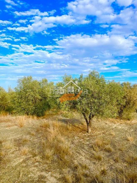 Foto 8cbdffe5-4ff6-4ddd-b3f6-61a9326dbd5b. Terreny residencial a Vélez - Rubio