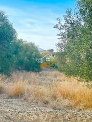 Finca rústica a Vélez - Rubio. Terreno rústico en venta en vélezrubio.