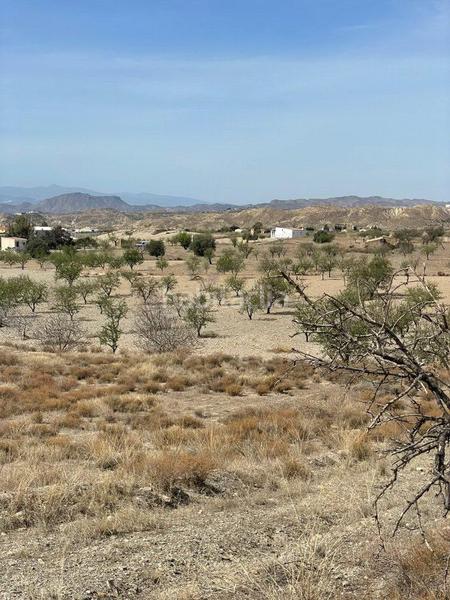 Foto 70b009b3-658f-416a-9c88-ad2ec05c4048. Finca rústica terreno rústico en venta en huércalovera. en Huércal - Overa