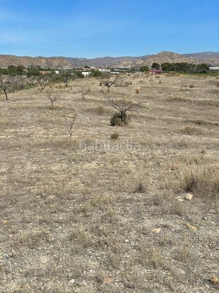 Foto bd2fa61e-e774-4589-9e2d-741ef7c2d94a. Finca rústica terreno rústico en venta en huércalovera. en Huércal - Overa