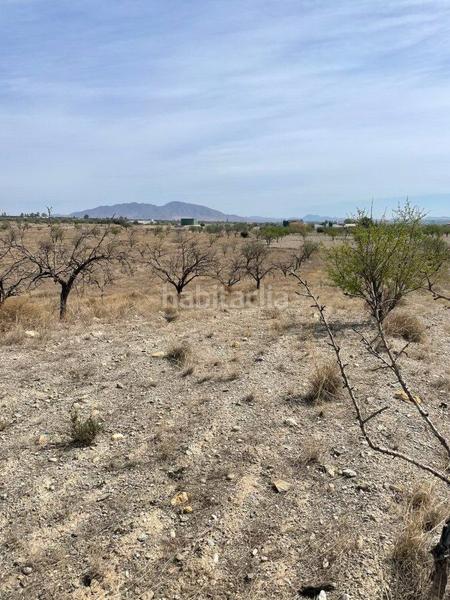 Foto c4515067-d788-487b-b7f0-1623d1dd9a64. Finca rústica terreno rústico en venta en huércalovera. en Huércal - Overa