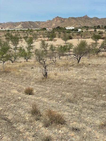 Foto c7df3cfb-b2ad-4878-8d3d-56b1b4395cd1. Finca rústica terreno rústico en venta en huércalovera. en Huércal - Overa