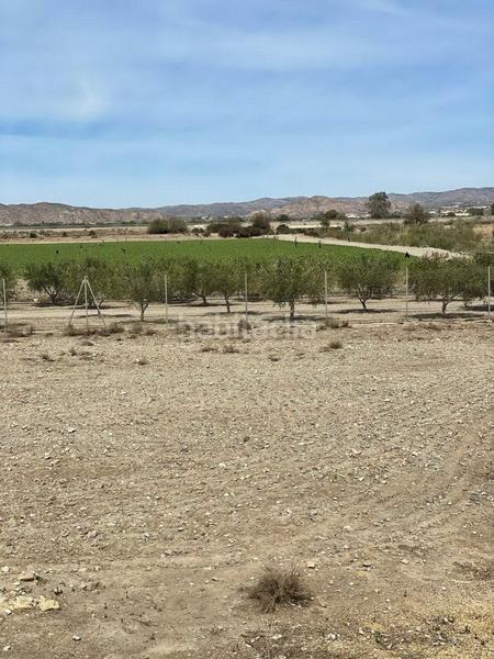Foto 097844ee-6909-4314-a3ac-f1d8640b2c86. Finca rústica terreno rústico en venta en huércalovera. en Huércal - Overa